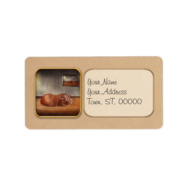 Djur - Marsvinet Adressetikett (Framsidan)