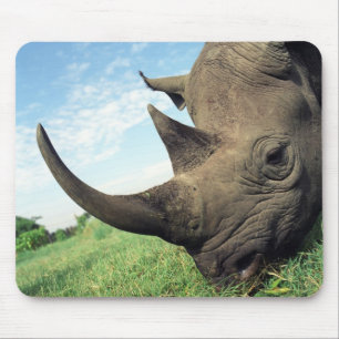 Djur Mousepad 104 Musmatta