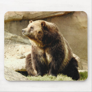 Djur Mousepad serie - Grizzlybjörn Musmatta