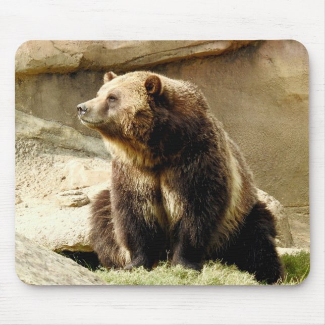 Djur Mousepad serie - Grizzlybjörn Musmatta (Framsidan)