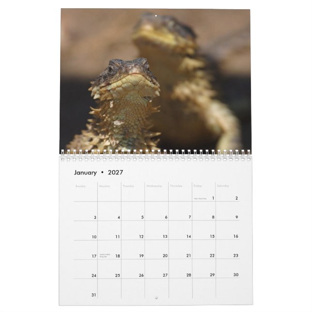 Djur & natur kalender (Jan 2027)
