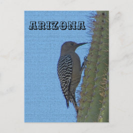 Djur på Arizona Gila Woodpecker på Tall Cactus Vykort