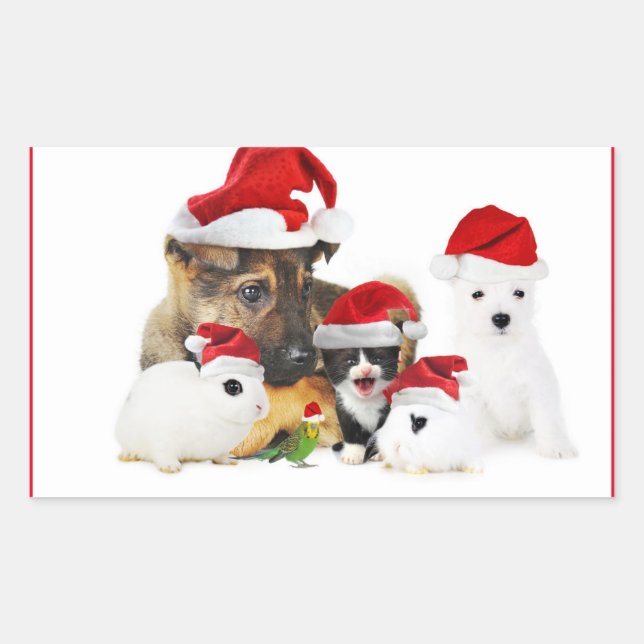 Djur Rektangulärt Klistermärke (Framsida)