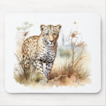 Djur Safari Leopard
