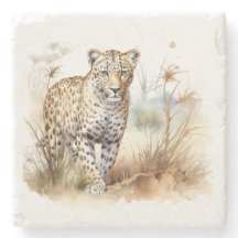 Djur Safari Leopard