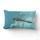 Djur samling - slända på vatten