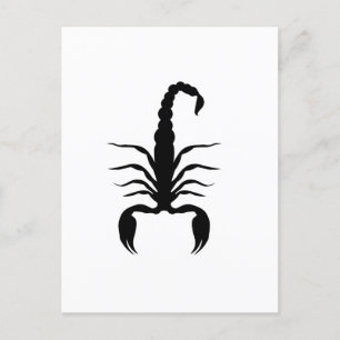 Djur Scorpion Scorpio Gift Idea Inbjudan Vykort