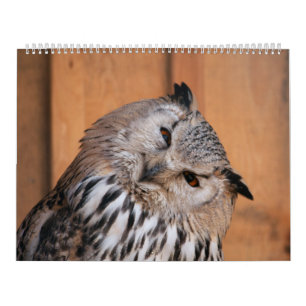 Djur som Tittar på dig Kalender