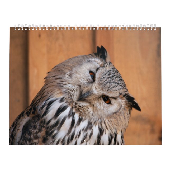 Djur som Tittar på dig Kalender (Omslag)