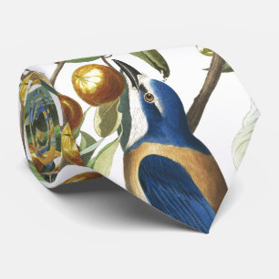 Djur Tie för Audubon Florida Jay fågeldjurliv Slips