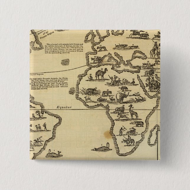 Djur världen knapp (Framsida)