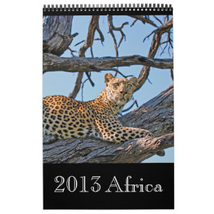 Djur vildafrika 2013 (NÅGOT ÅR) Kalender