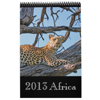Djur vildafrika 2013 (NÅGOT ÅR) Kalender