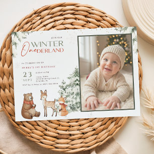 Djur Vinter Nederländerna Barn Foto Första Födelse Inbjudningar