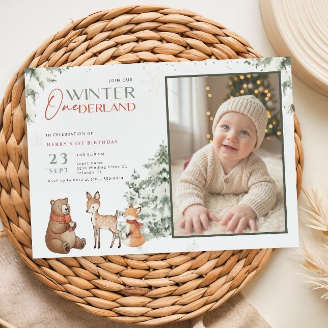 Djur Vinter Nederländerna Barn Foto Första Födelse Inbjudningar (Skapare uppladdad)