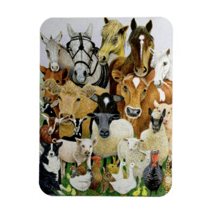 Djura Allsorts Magnet
