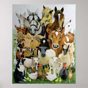 Djura Allsorts Poster