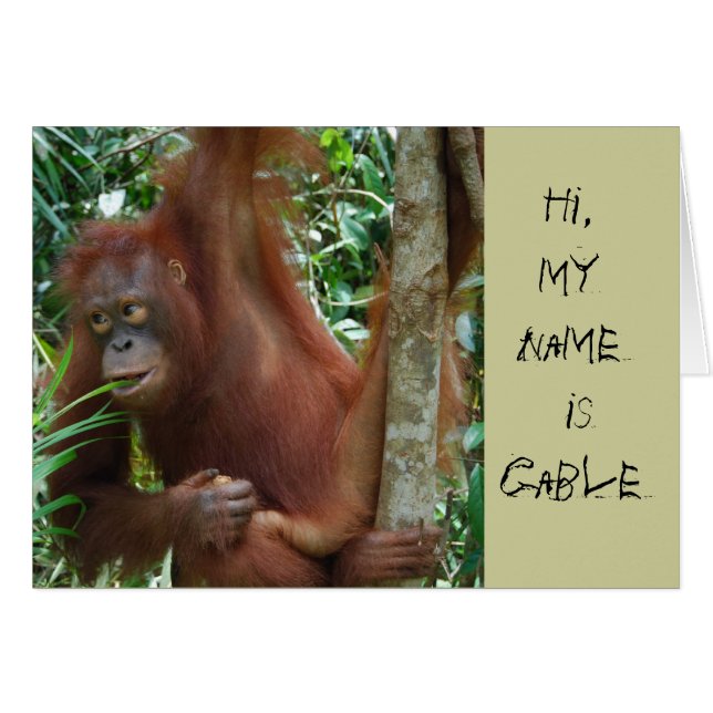 Djura konstnärer OBS kort (Framsidan Horizontal)