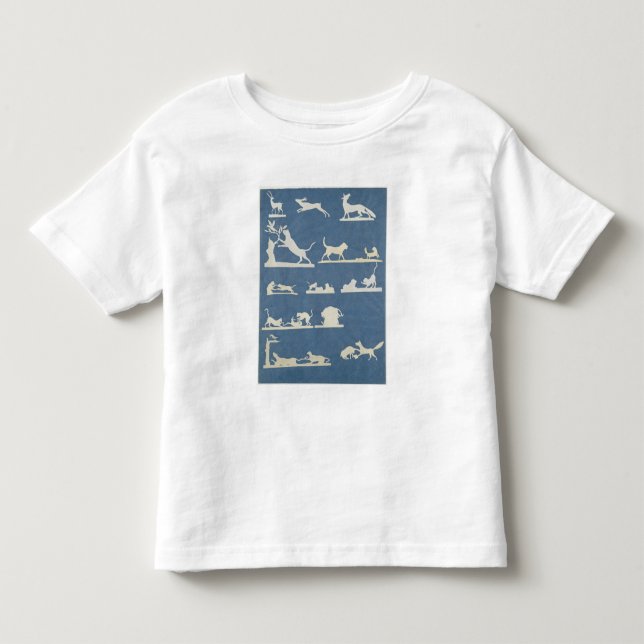 Djura platser och lekakatter tee (Framsida)