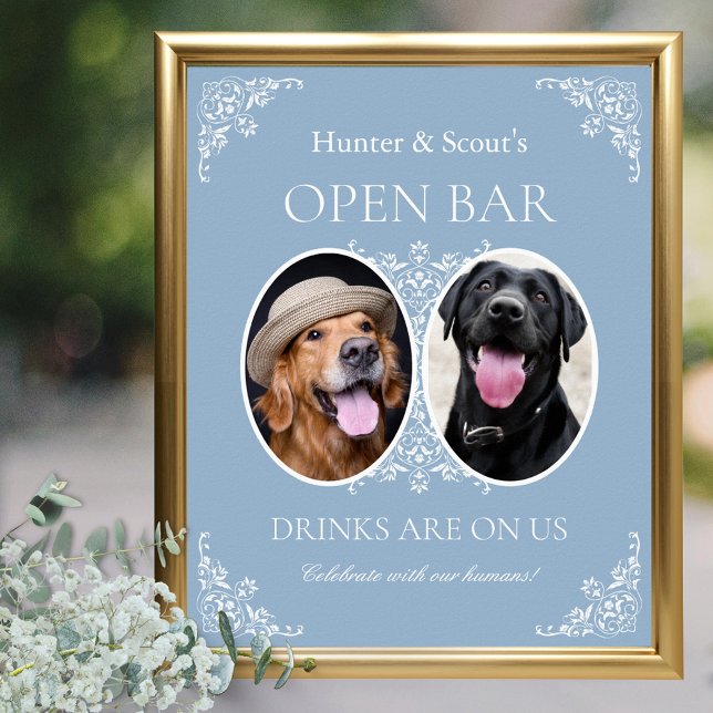 Djurälskare Blue Coastal Chic Bröllop Open Pub Sig Poster (dusty blue elegant wedding open bar sign for pet lovers with 2 dog cat photos and celebrate humans)