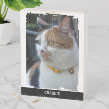 Djurälskare lägg till namn svart katt foto rustik