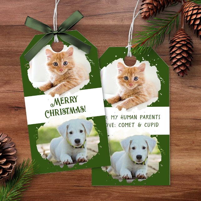 Djurälskare Personlig Två foton Grönt jul Presentetikett (Pet Lovers Personalized Two Photos Green Christmas Gift Tags)