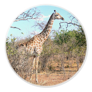 DJURDEKOR FÖR BARNS RUM/GIRAFFE CERAMIC KNOB KNOPP