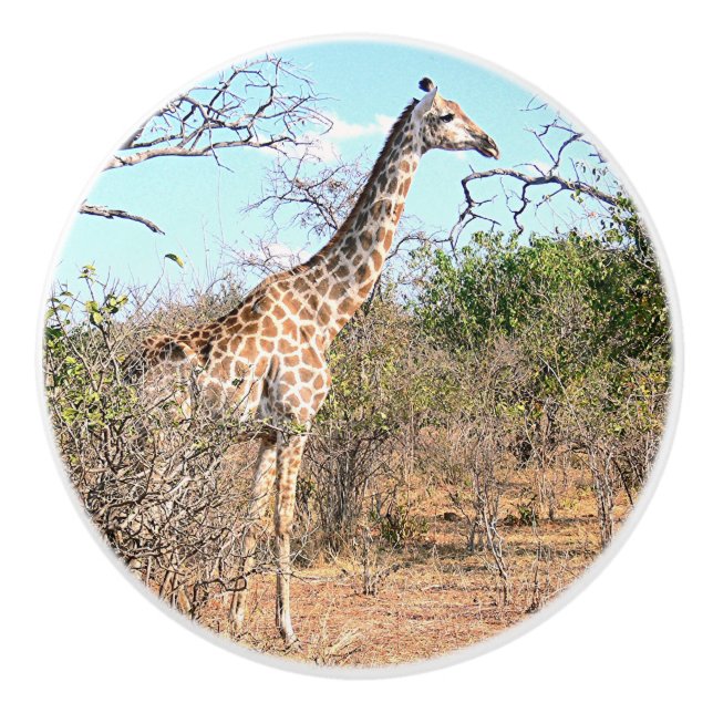 DJURDEKOR FÖR BARNS RUM/GIRAFFE CERAMIC KNOB KNOPP (Framsidan)