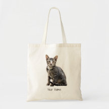 Djurdesign för katter Vintage Porträtt Pet Tomcat
