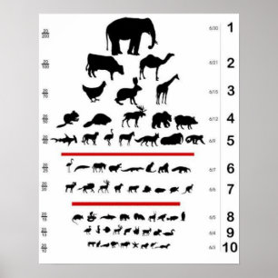 Djurdiagram i Öga Poster