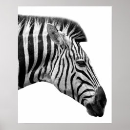 Djurefoto från svart och vit zebra-vild poster