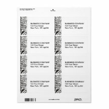 Djuren Black White Mönster Rand Modern Zebra