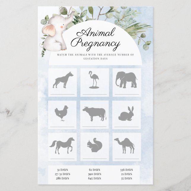 Djuren Gravid Boy Shower Game (Framsida)