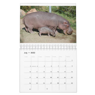 Djuren värld runt 5,5 x 7 tum 2021-kalender kalender