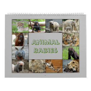 DjurenBabies 001 Kalender