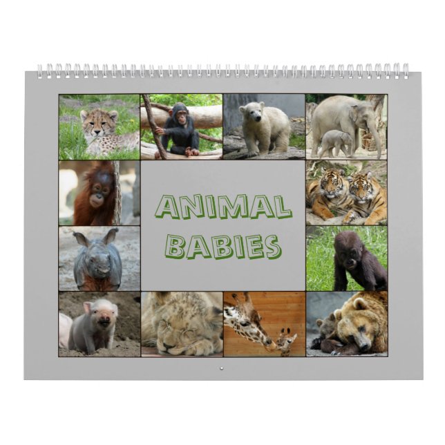 DjurenBabies 001 Kalender (Omslag)