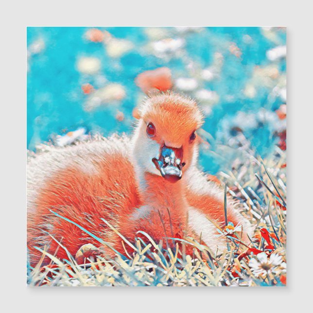 DjurenMix_Bird_019 (Framsida)