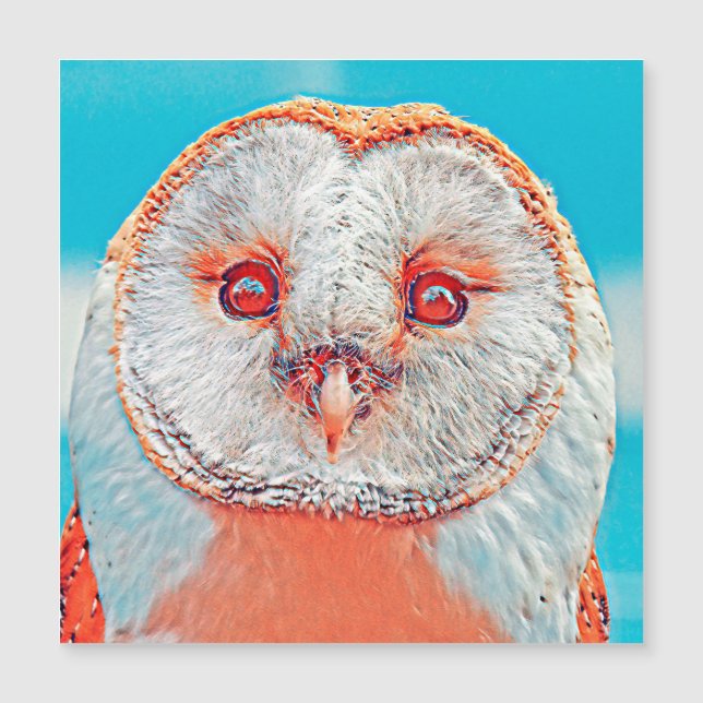 DjurenMix_Bird_023 (Framsida)