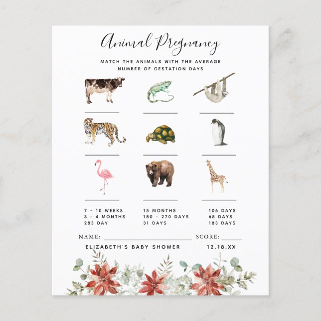 Djurens graviditet | Baby shower-lek (Framsida)