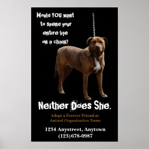 Djurens rättigheteradoption och rädding poster