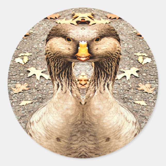 DJURENS ROLIGT RUNT KLISTERMÄRKE (Framsida)