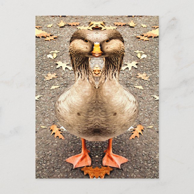 DJURENS ROLIGT VYKORT (Framsida)