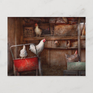Djuret - Chicken - anka är en spion Vykort