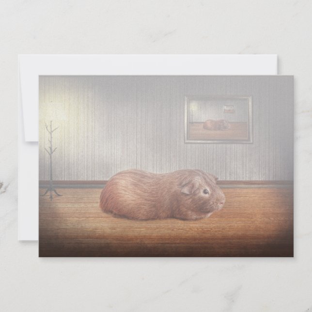 Djuret - Guinea-gris (Framsida)