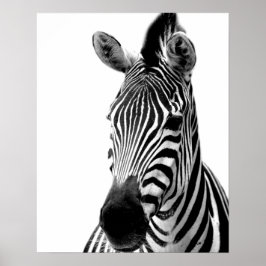 Djurets foto, svart och vitt, från Zebra vild djun Poster