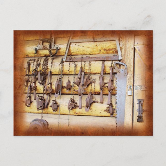 Djurfällor i Alaska Vykort (Framsida)