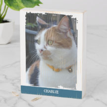 Djurfantast lägg till namn blå katt foto rustik