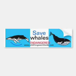 Djurfara - Spara WHALES-Wildlife -Nature Bildekal