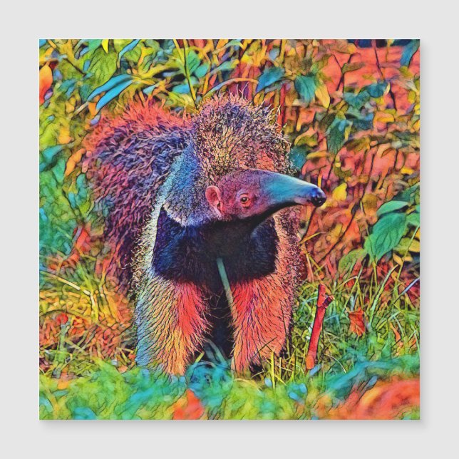 Djurfärg_Anteater_001 (Framsida)