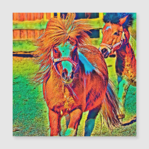 Djurfärg_Häst_001